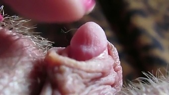 Hd Video Of My Fetish For Fucking And Clitoris Play