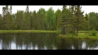 Luna'S Erotic Misadventures In Canada: A Verité Film