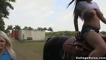Young Coeds Enjoy A Wild Group Sex Session With Their Classmate