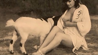 Classic Vintage Film Featuring Taboo Sexual Acts And Pantyhose